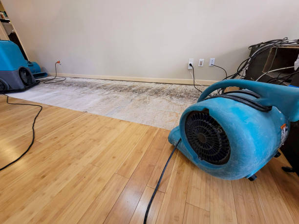 Professional Burst Pipe Water Damage technician working in Epsom, NH